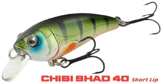 0001_Spro_Chibi_Shad_40_SL_[Zinkend]_[Spro].jpg